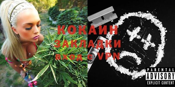 2c-b Сясьстрой