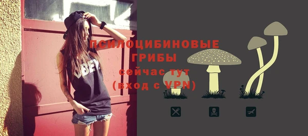 2c-b Сясьстрой