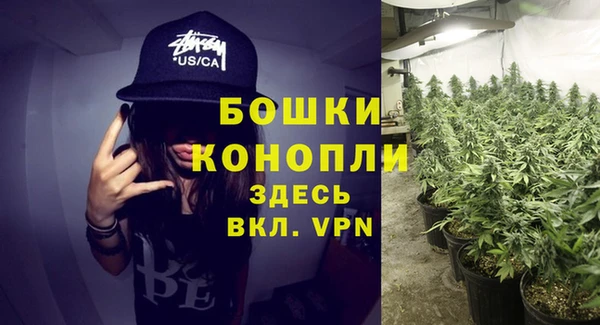 2c-b Сясьстрой