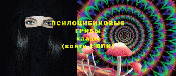 Альфа ПВП Тайга