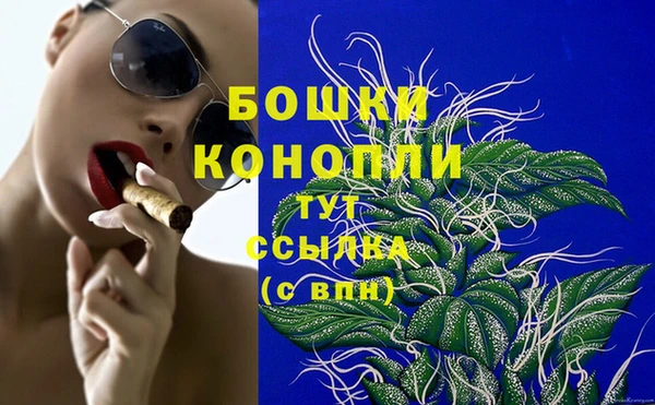 2c-b Сясьстрой