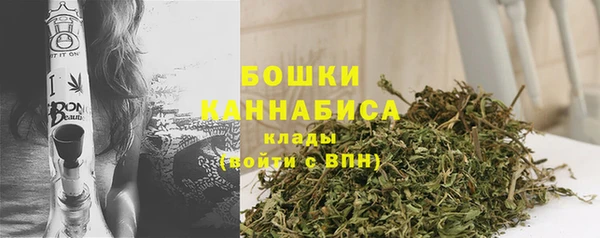 2c-b Сясьстрой