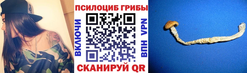 Галлюциногенные грибы GOLDEN TEACHER  Монино 